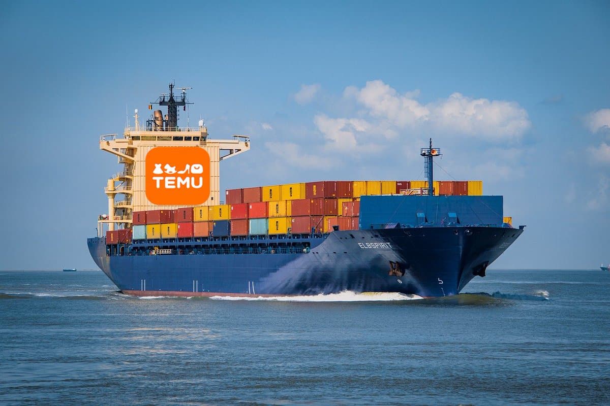 Délais et zones de livraison avec Temu